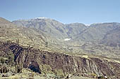 The Colca Valley is one of the most intensively terraced regions in the Andes 